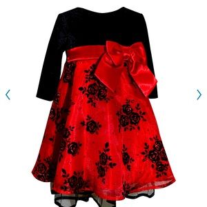 Embellished Holiday dress 4T